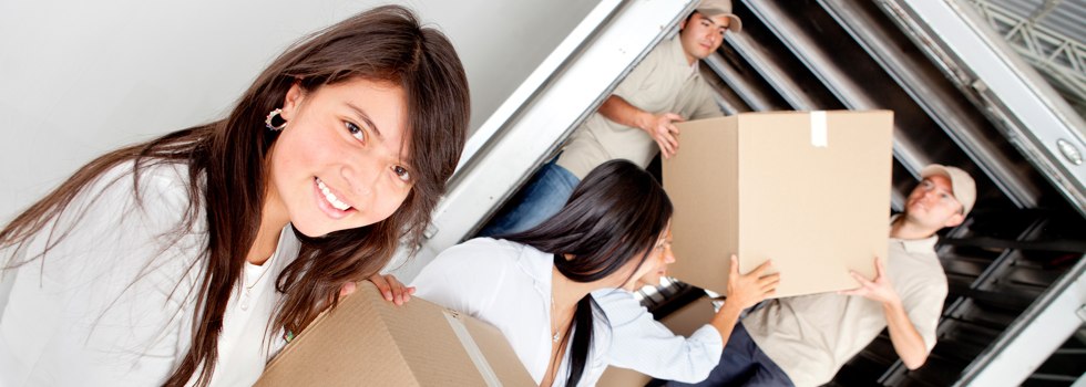Professional Removalists Boorhaman East
